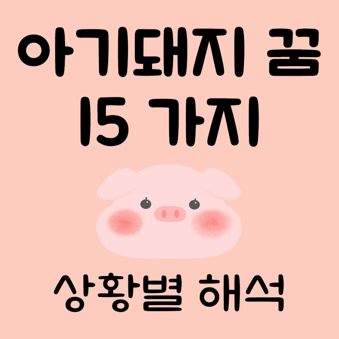 아기돼지꿈