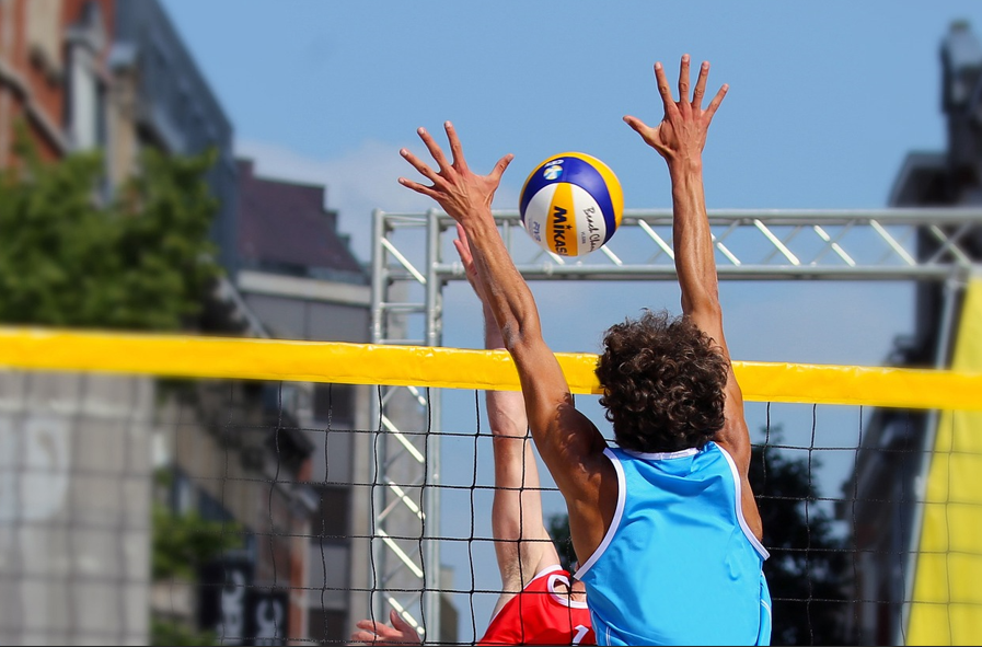 배구 경기 이미지