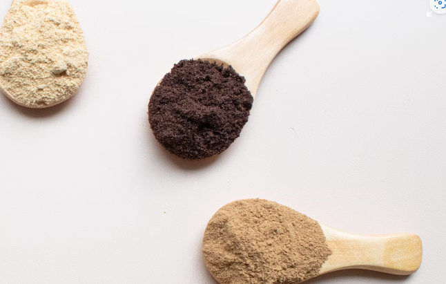 차가버섯 분말 활용