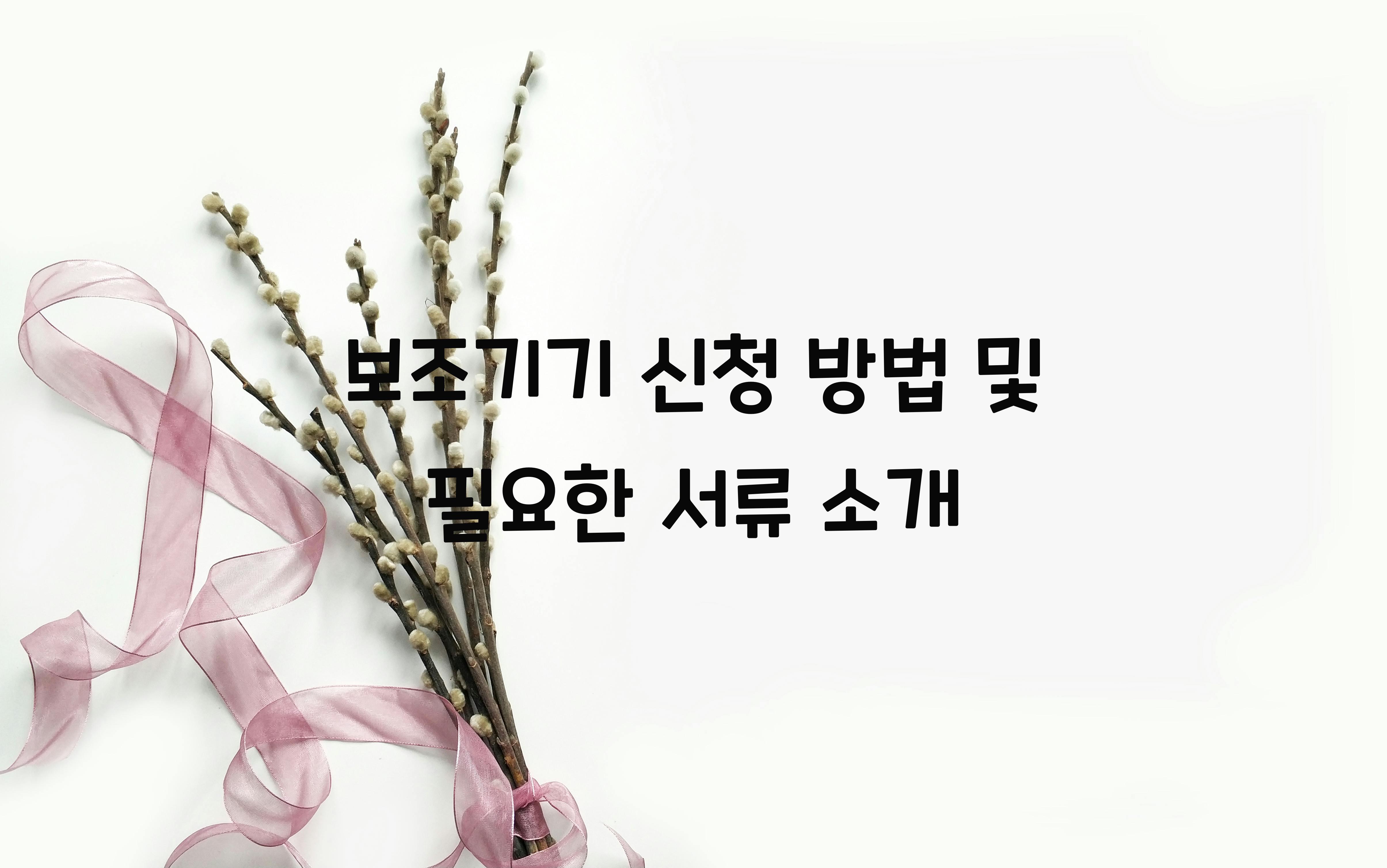 보조기기 신청 방법