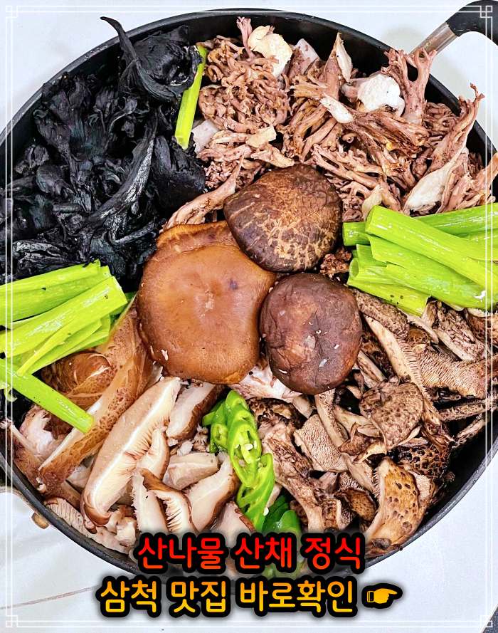 강원 삼척 맛집 산나물 청국장 산채 나물 백반 정식