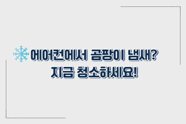 곰팡이 바람 막자! 여름철 에어컨 청소가 필수인 이유와 셀프 청소법 공개