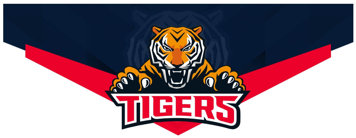 2025 프로야구 기아타이거즈