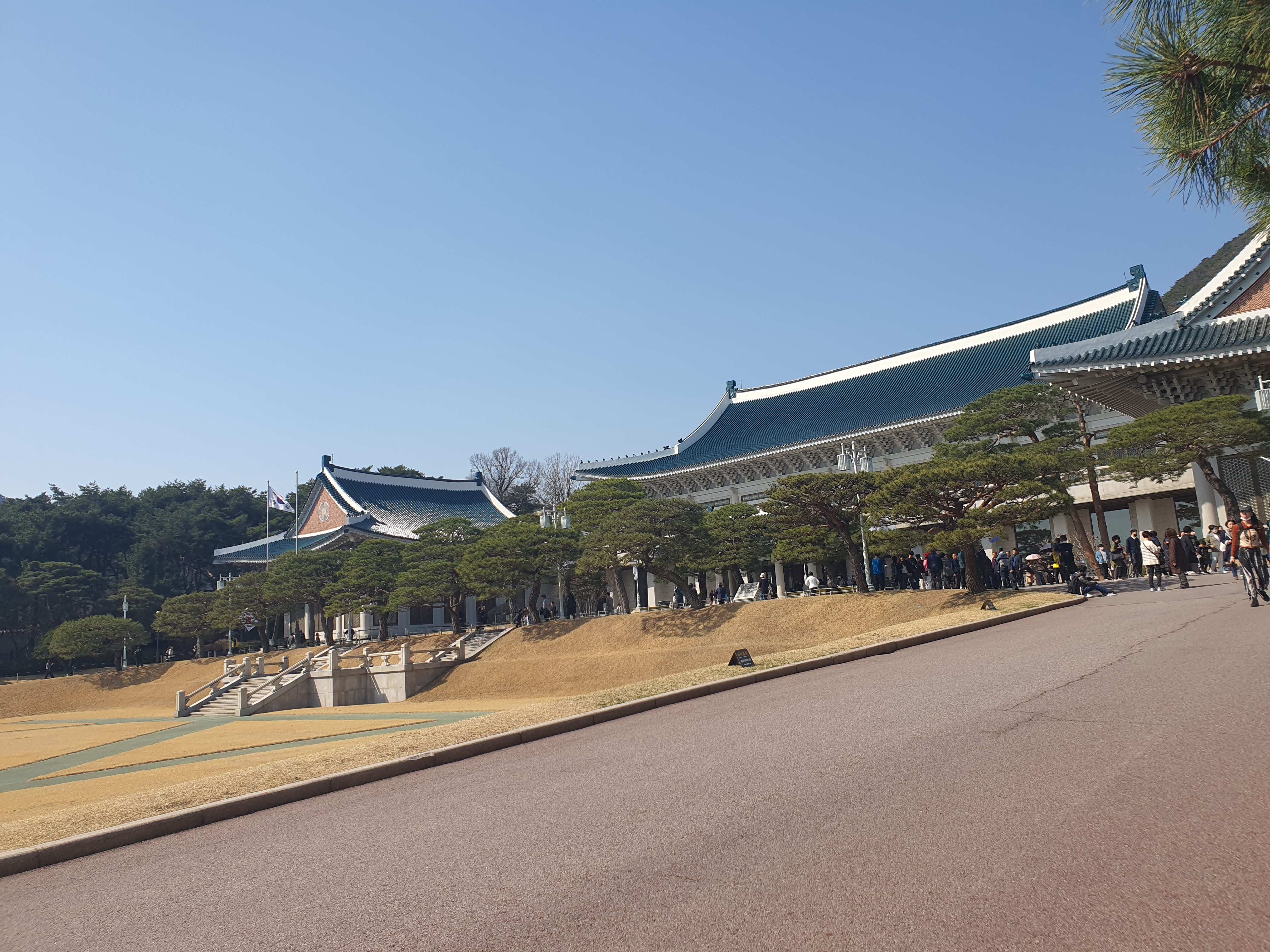 청와대