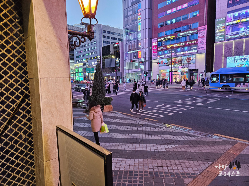 나즈드라비 강남대로점 위치