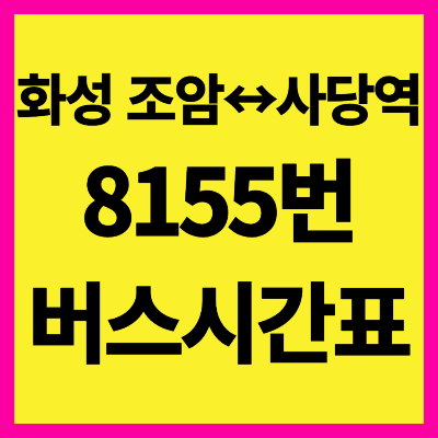 8155 버스 시간표