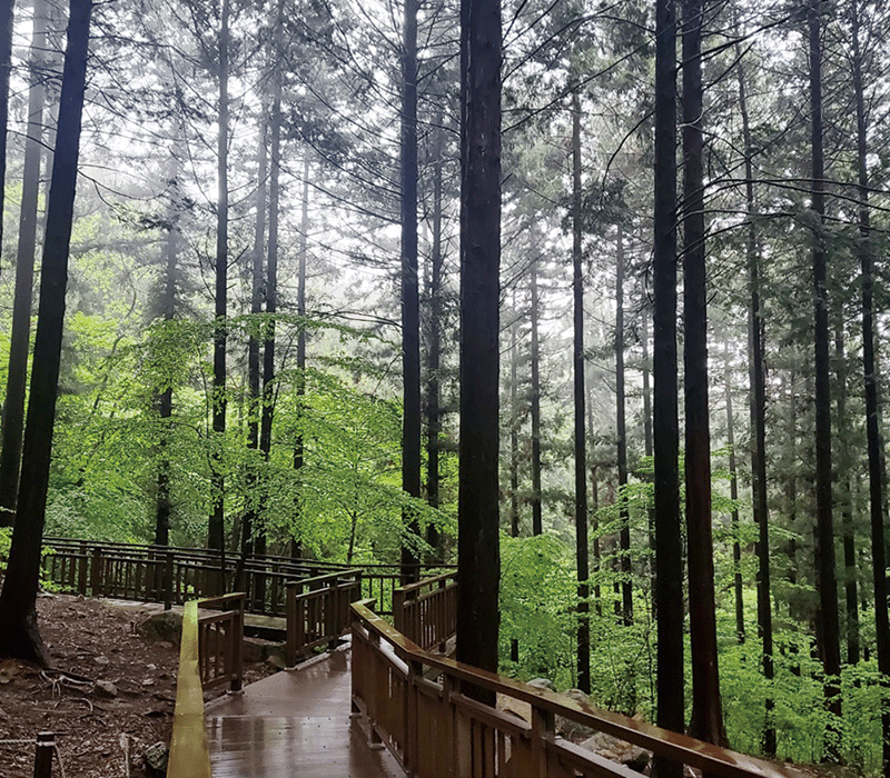 축령산 등산코스 지도