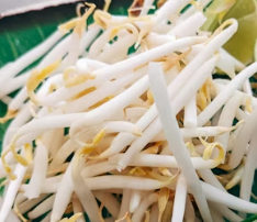 골다공증에 좋은 음식 영양제 식단