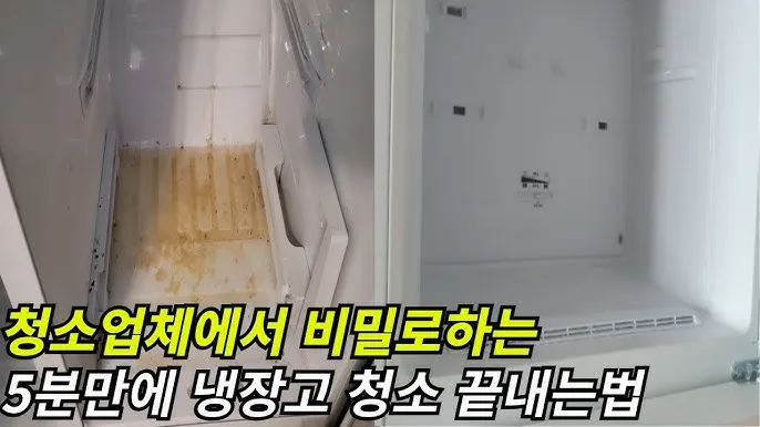 냉장고 쉽게 청소하는 방법_8