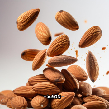 마그네슘이 풍부한 음식