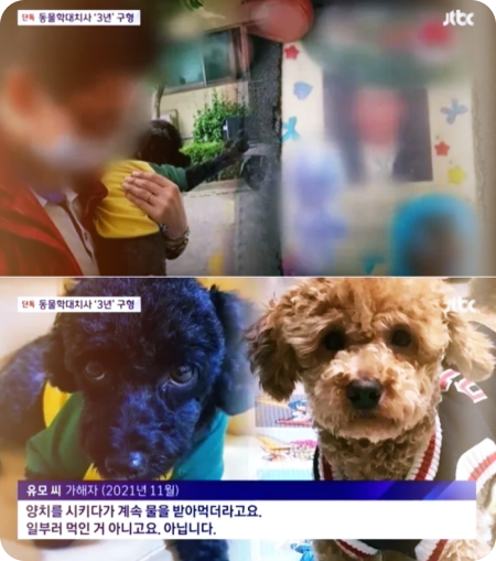 푸들살해-공기업직원-징역-3년