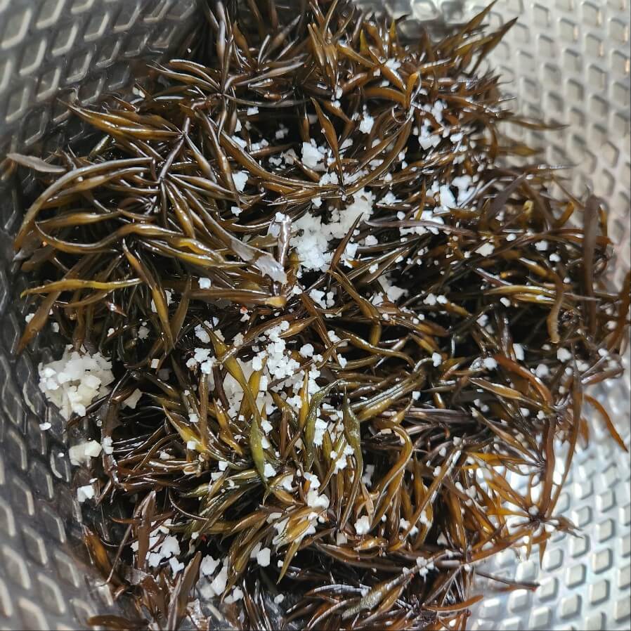 해쵸류 손질, 톳 손질, 다이어트 식품, 다이어트 재료