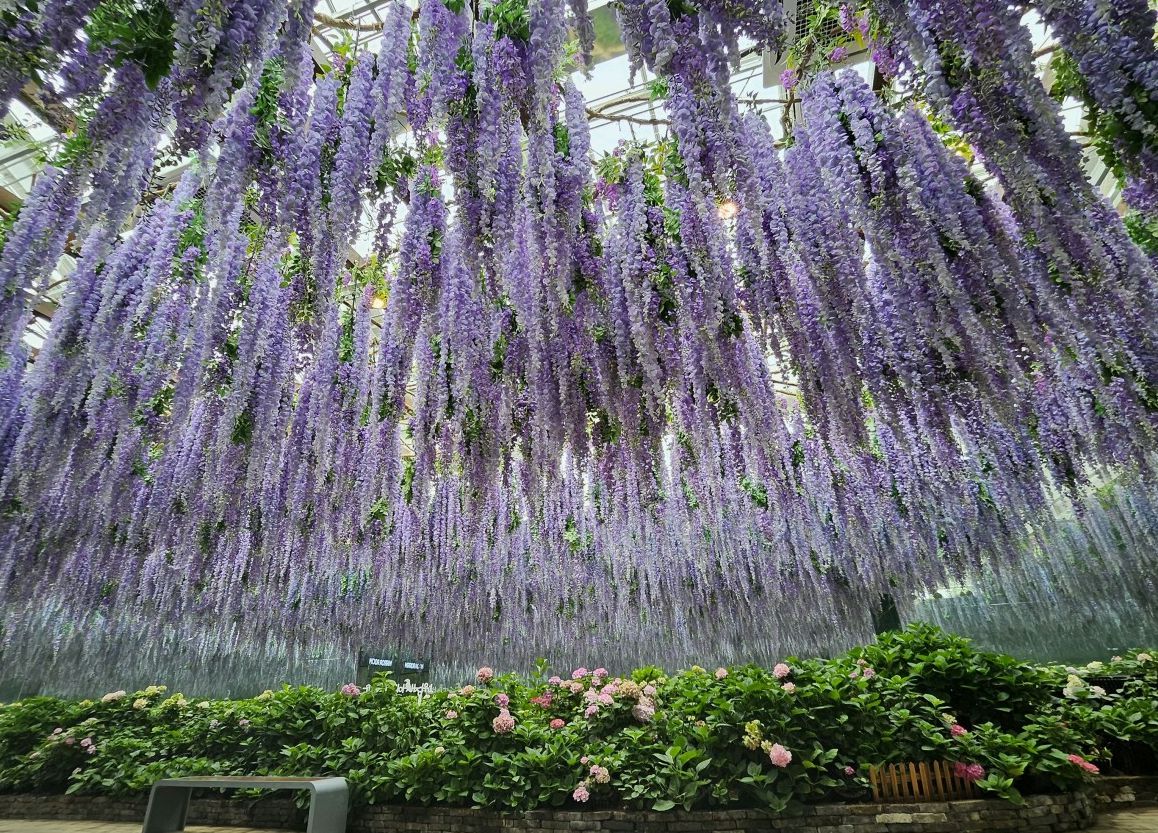 가평베고니아새정원