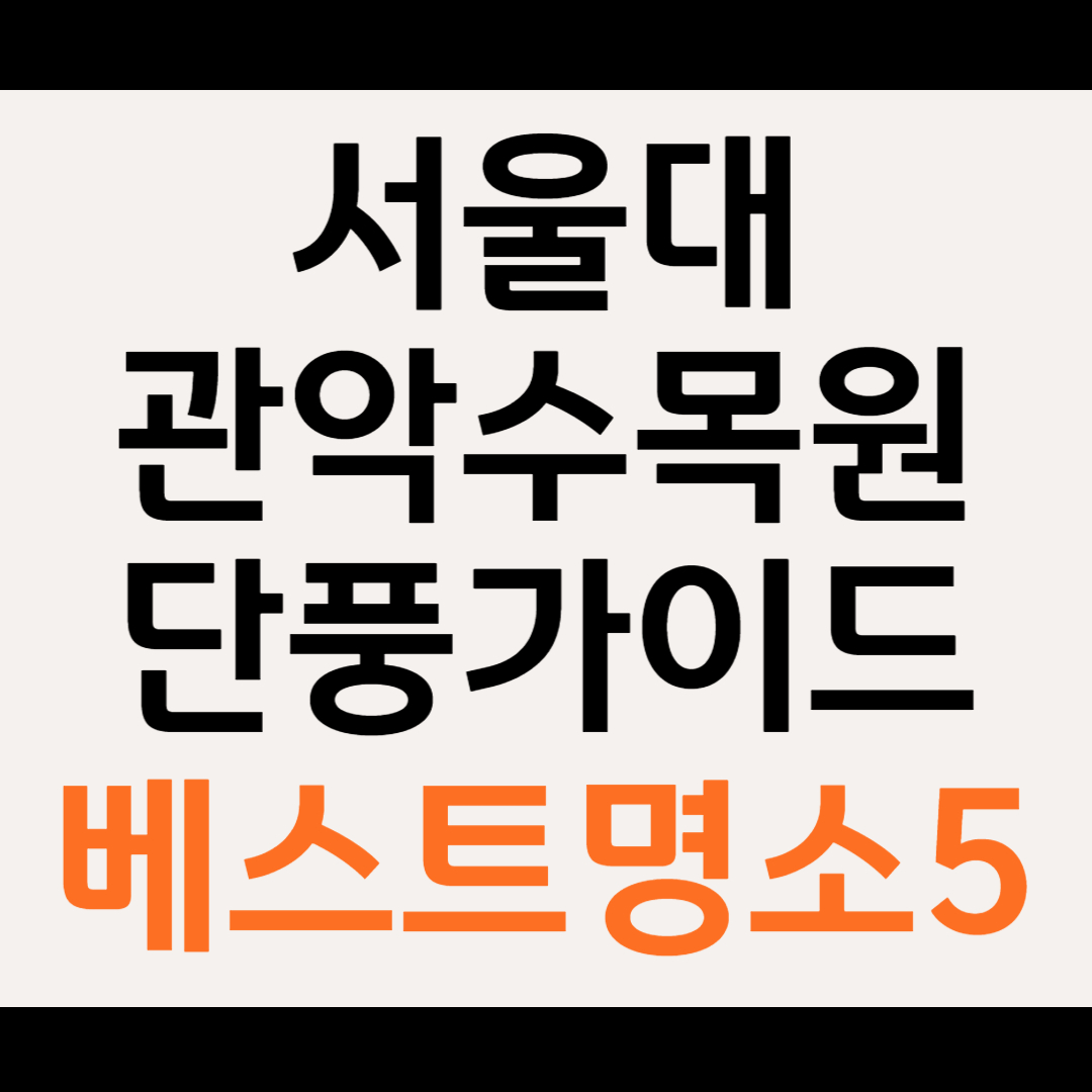 서울대 관악수목원 단풍 절정 가이드 놓칠 수 없는 인생샷 명소 5