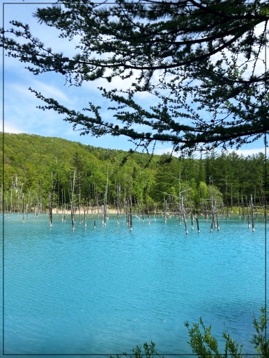 삿포로-자유여행-일정-3박4일-10