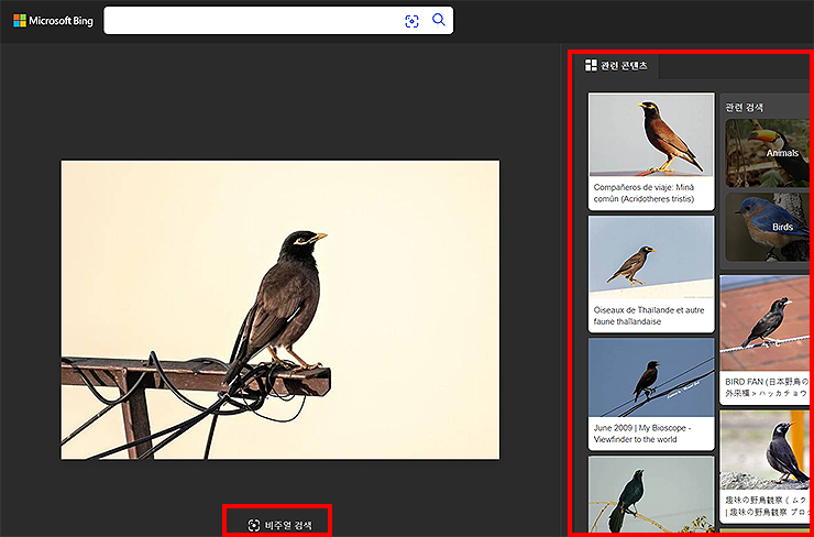 빙-이미지-검색-새-검색-하기