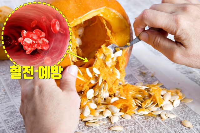 고혈압에 좋은 음식,호박씨 효능,건강,팁줌