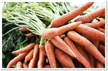 캐나다-당근-묶음