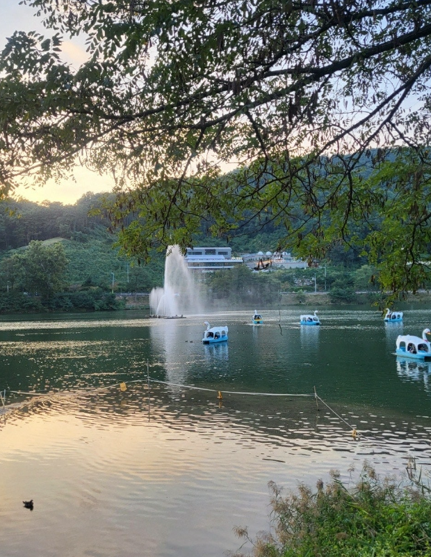 명암저수지에서-오리배-타고있는-사진