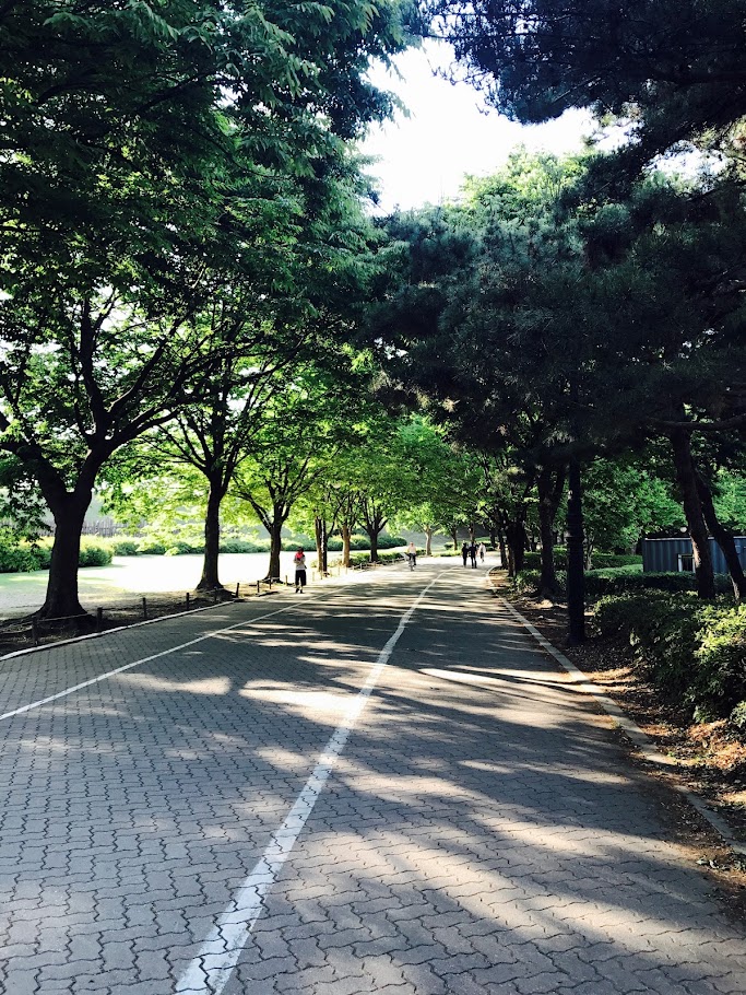 적절한 유산소 운동