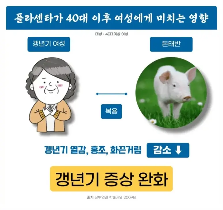 태반주사