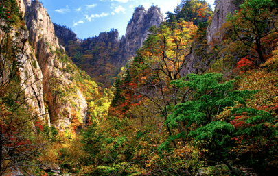 2024 설악산 단풍시기와 탐방코스 및 예약 방법