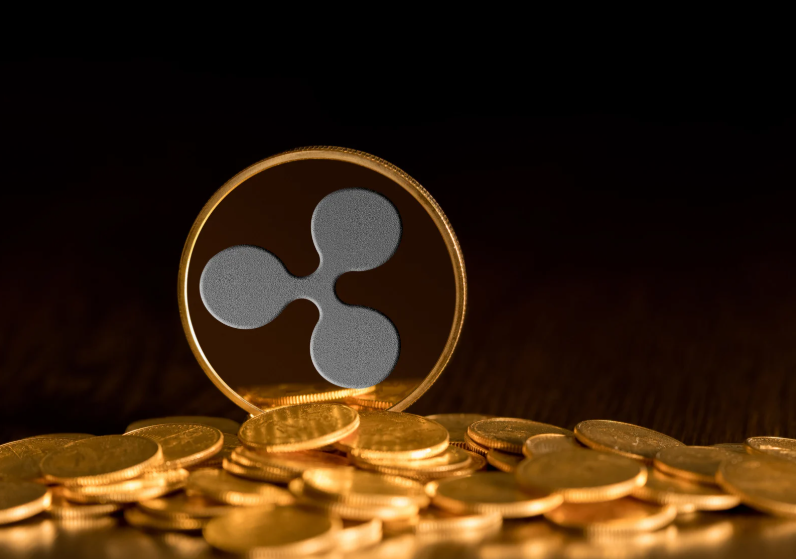 리플의 XRP투자