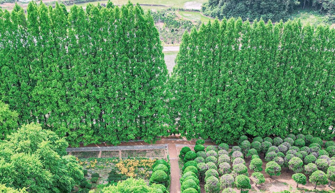 익산 아가페 정원