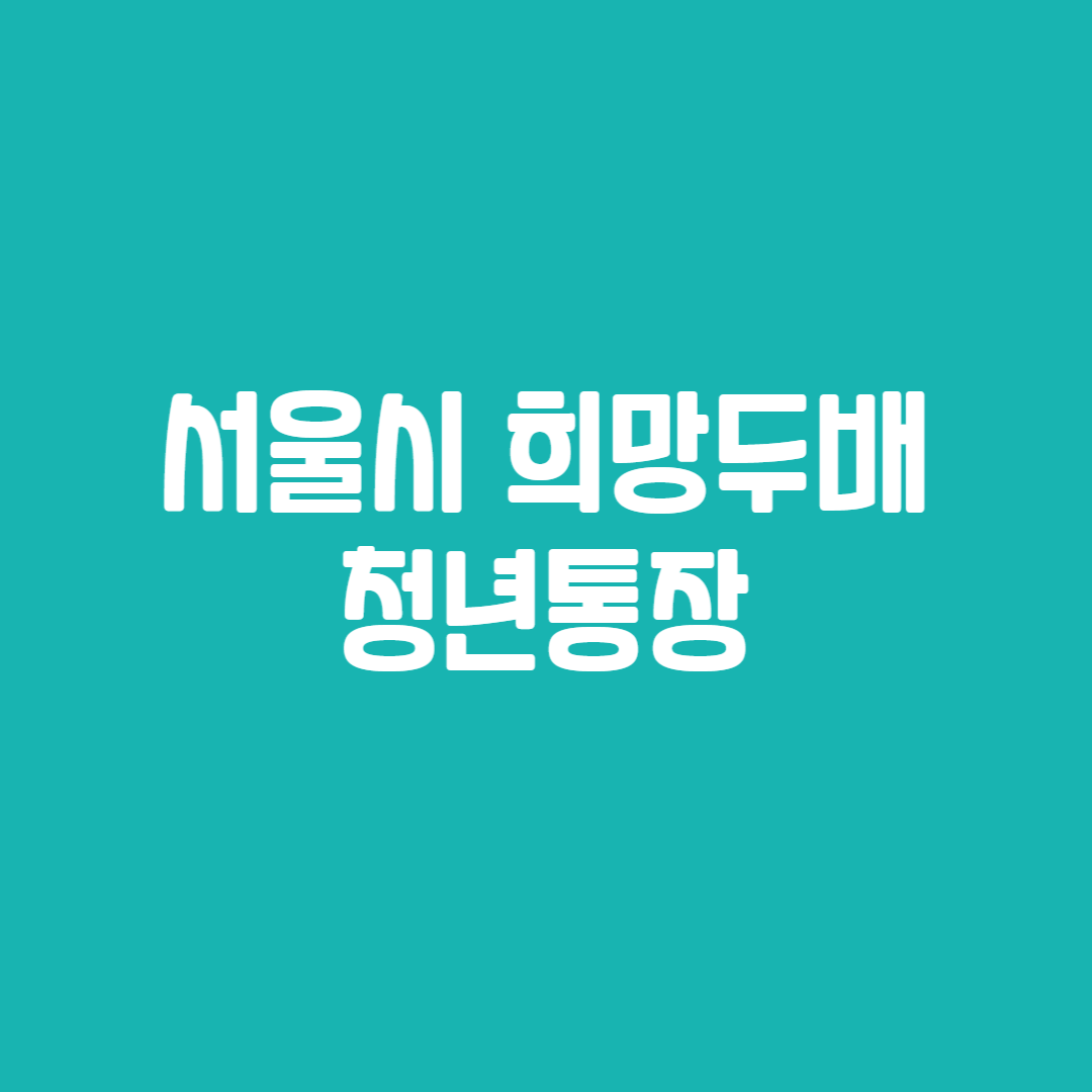 서울시 희망두배 청년통장