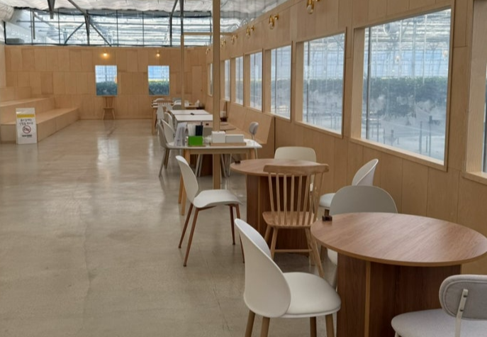 페이머스파머스