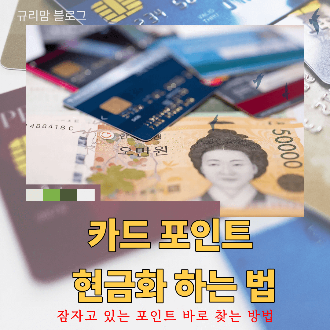 카드 포인트 현금화 하는 법 잠자고 있는 포인트 바로 찾는 방법