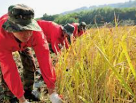 농민수당 신청 자격 및 신청 방법