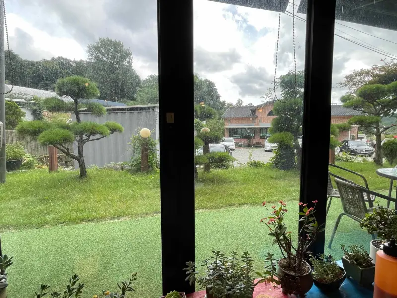 초록잔디가 창문앞에 보이는 모습