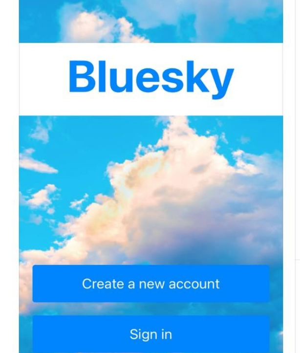 블루스카이 vs X(구 트위터) 비교 및 2024년 최신 SNS 트렌드 분석