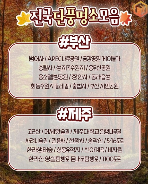 단풍축제11