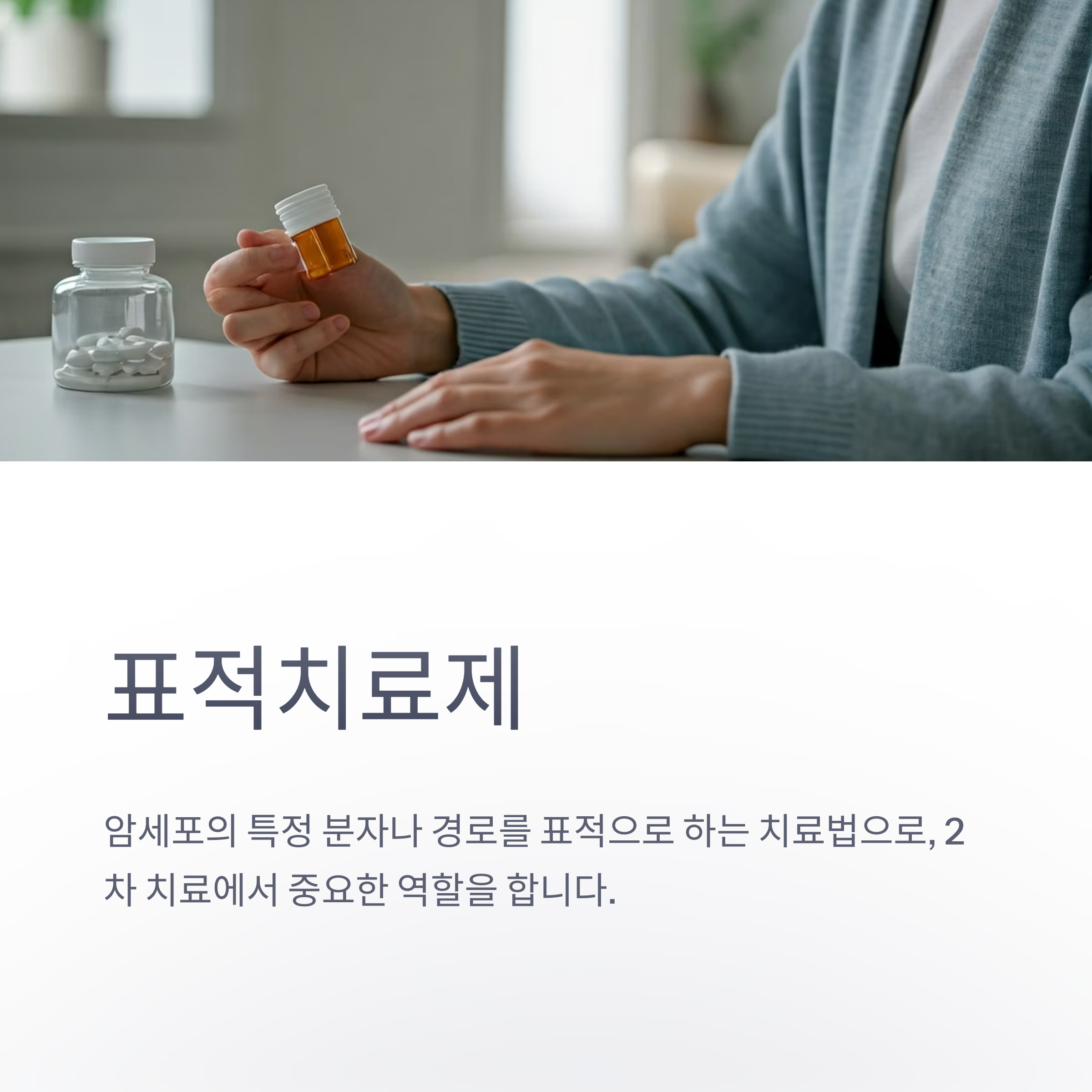 항암화학요법 표적치료제