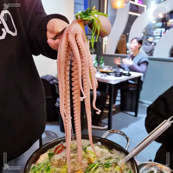 생생정보 뻘낙지 육회 탕탕이, 물회, 낙지볶음, 덮밥, 비빔밥 맛집