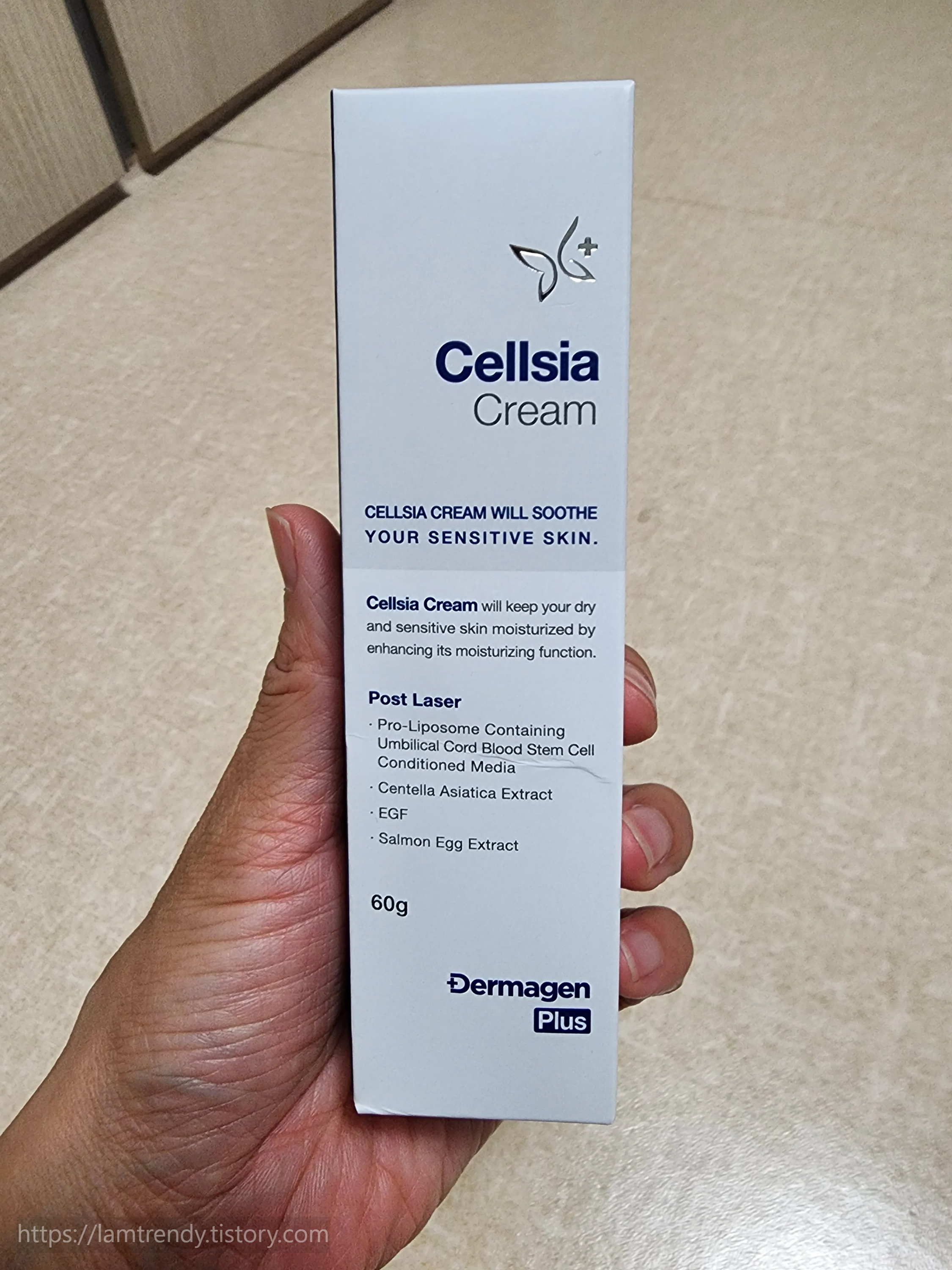 셀시아크림 상품