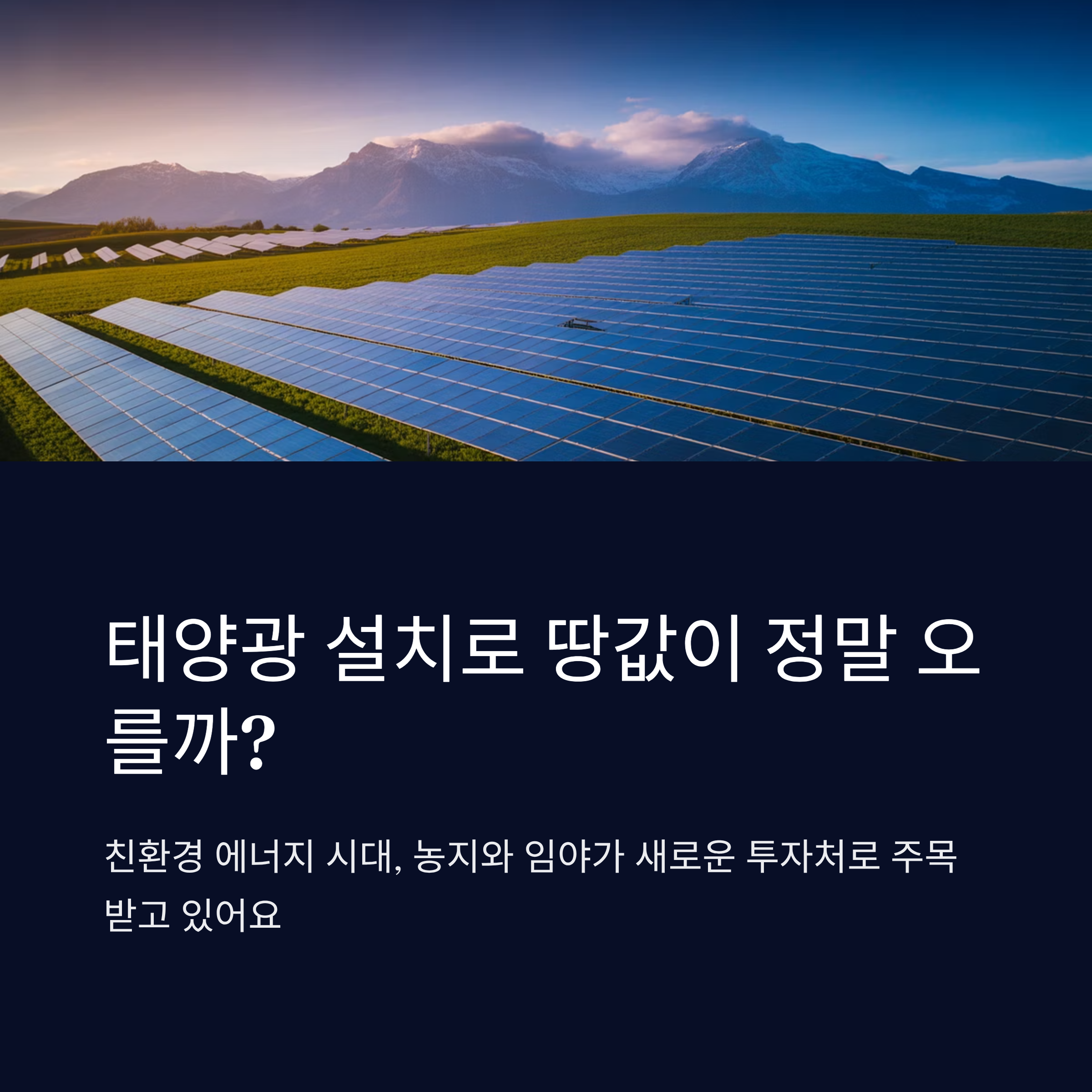 태양광 설치로 인한 땅값 상승 가능성