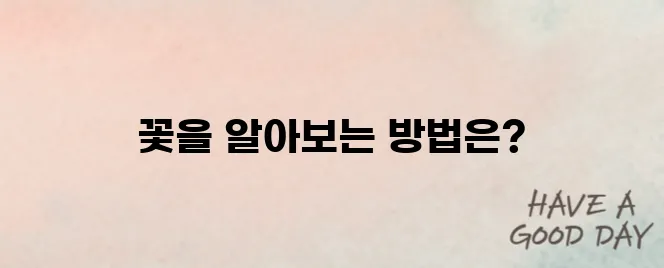 "꽃의 이름을 알려주는 스마트 애플리케이션"