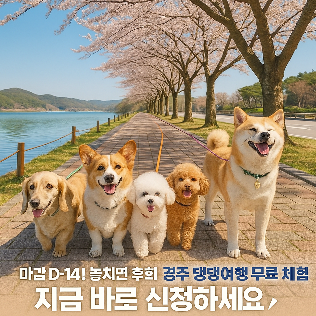 경주 댕댕여행 D-14! 무료 체험 완전 정복 (출처 : 농림축산식품부 )