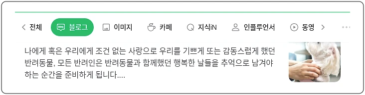 강아지 장례_1_subsection