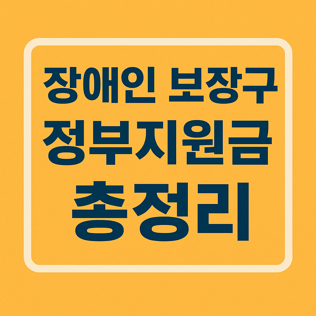 장애인 보장구 정부지원금