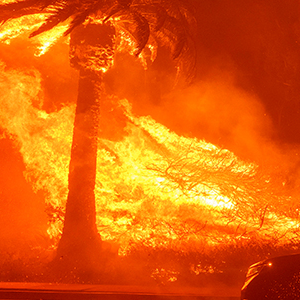 LA산불 미세먼지 관련주 대장주 테마주 TOP7