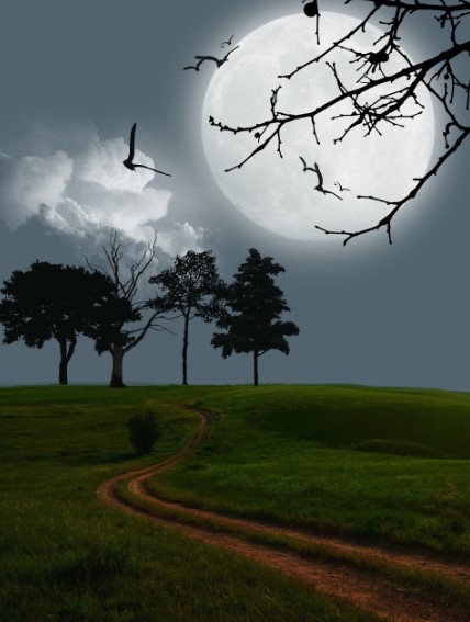 꽃피는 달의 신비와 의미 플라워문