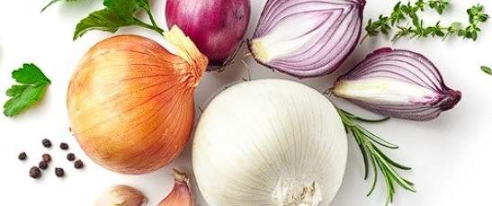 콜레스테롤 낮추는 음식 - 양파