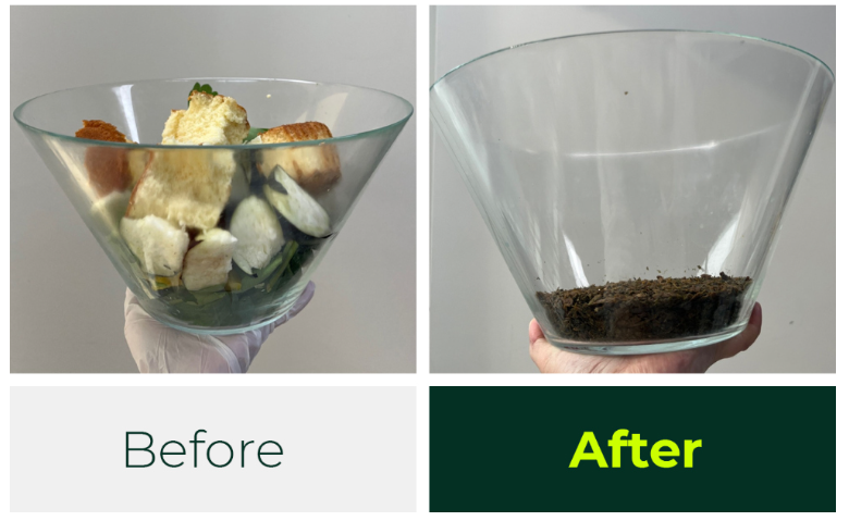 DFFP-300-건조분쇄 감량률