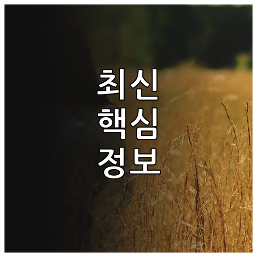 2025 광명시 미혼모 자립 지원금 ..