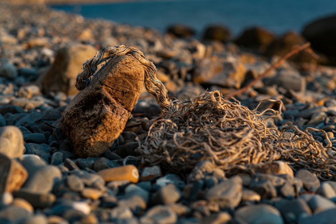 Fishing gear