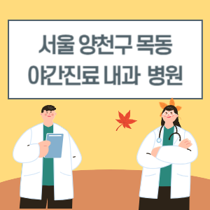 양천구 목동 야간진료 내과 병원 리스트 (18시 이후 늦게까지하는 병원)